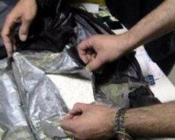 В Донецкой области изъяли наркотиков на 400 тыс. гривен